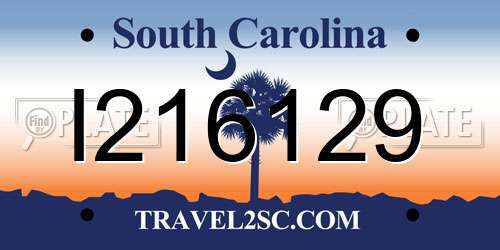 I216129 South Carolina License Plate