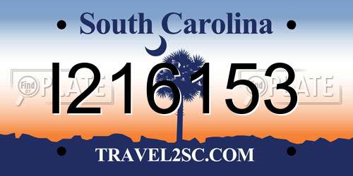 I216153 South Carolina License Plate