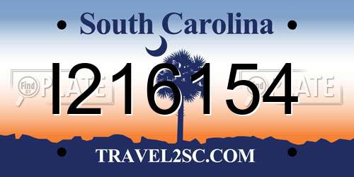 I216154 South Carolina License Plate