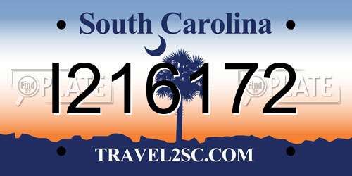 I216172 South Carolina License Plate
