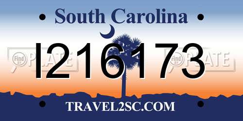 I216173 South Carolina License Plate