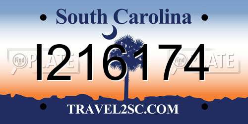 I216174 South Carolina License Plate