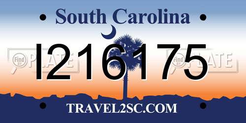 I216175 South Carolina License Plate