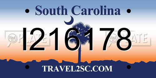 I216178 South Carolina License Plate