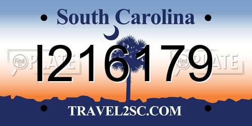 I216179 South Carolina License Plate