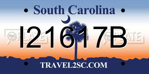 I21617B South Carolina License Plate