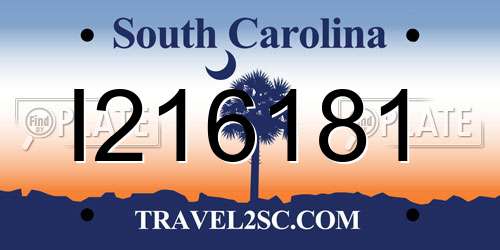 I216181 South Carolina License Plate