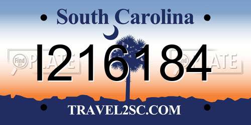I216184 South Carolina License Plate