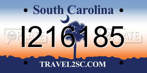 I216185 South Carolina License Plate