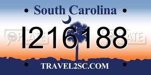 I216188 South Carolina License Plate