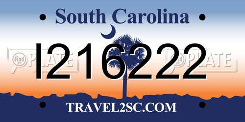 I216222 South Carolina License Plate