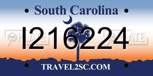 I216224 South Carolina License Plate