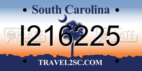 I216225 South Carolina License Plate