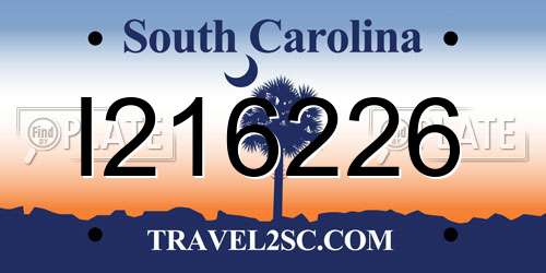 I216226 South Carolina License Plate