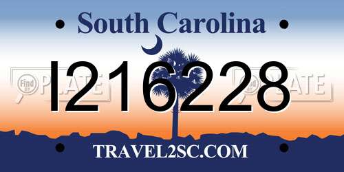 I216228 South Carolina License Plate