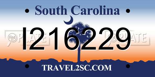 I216229 South Carolina License Plate
