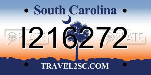 I216272 South Carolina License Plate