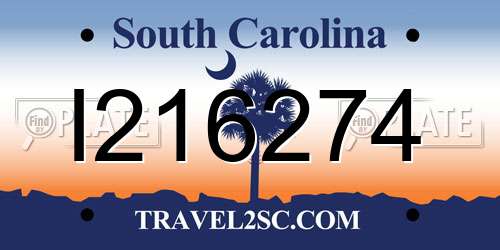 I216274 South Carolina License Plate