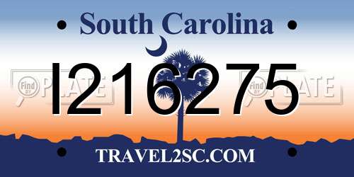 I216275 South Carolina License Plate