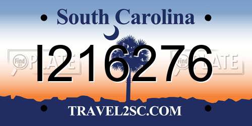 I216276 South Carolina License Plate