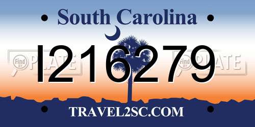 I216279 South Carolina License Plate