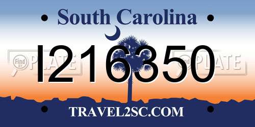 I216350 South Carolina License Plate
