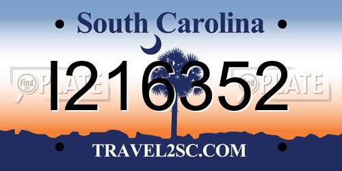I216352 South Carolina License Plate