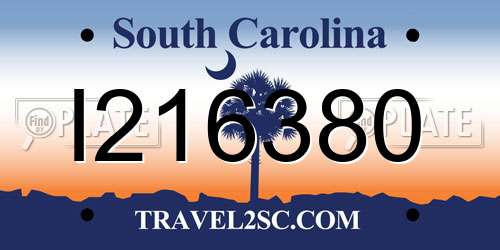 I216380 South Carolina License Plate