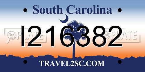 I216382 South Carolina License Plate