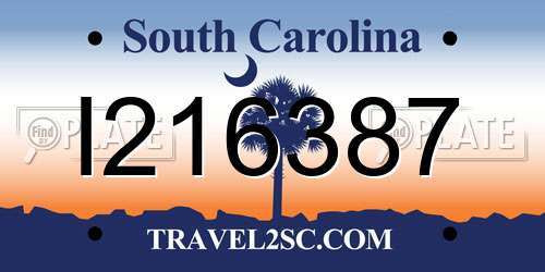 I216387 South Carolina License Plate