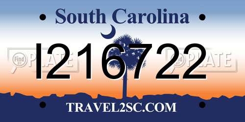 I216722 South Carolina License Plate