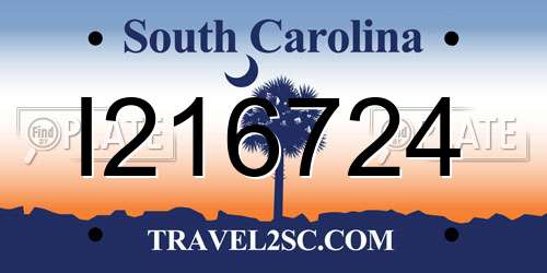I216724 South Carolina License Plate