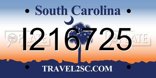 I216725 South Carolina License Plate