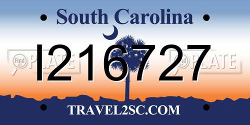 I216727 South Carolina License Plate