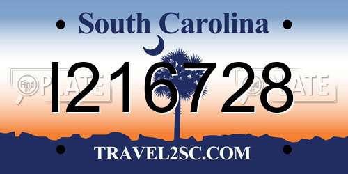 I216728 South Carolina License Plate