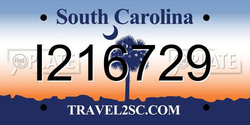 I216729 South Carolina License Plate