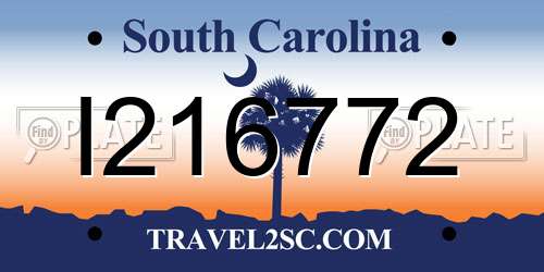 I216772 South Carolina License Plate