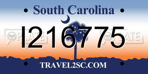 I216775 South Carolina License Plate