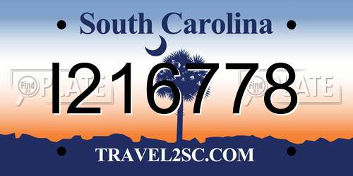 I216778 South Carolina License Plate