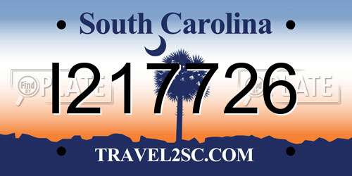 I217726 South Carolina License Plate