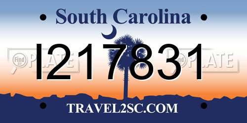 I217831 South Carolina License Plate