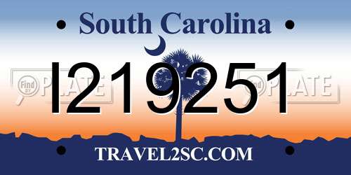 I219251 South Carolina License Plate
