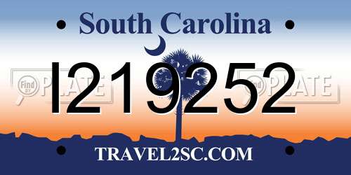 I219252 South Carolina License Plate