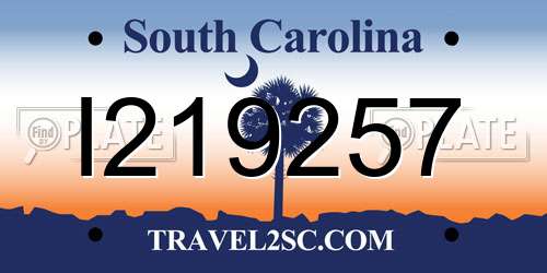 I219257 South Carolina License Plate