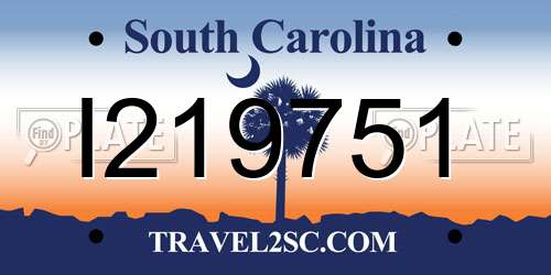 I219751 South Carolina License Plate