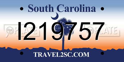 I219757 South Carolina License Plate