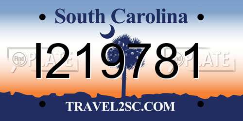 I219781 South Carolina License Plate