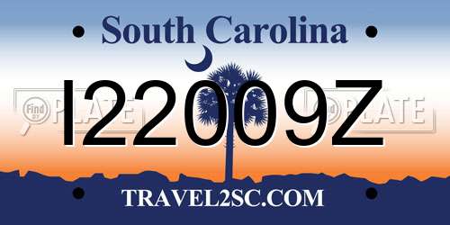I22009Z South Carolina License Plate