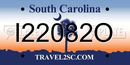 I22082O South Carolina License Plate
