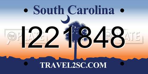 I221848 South Carolina License Plate